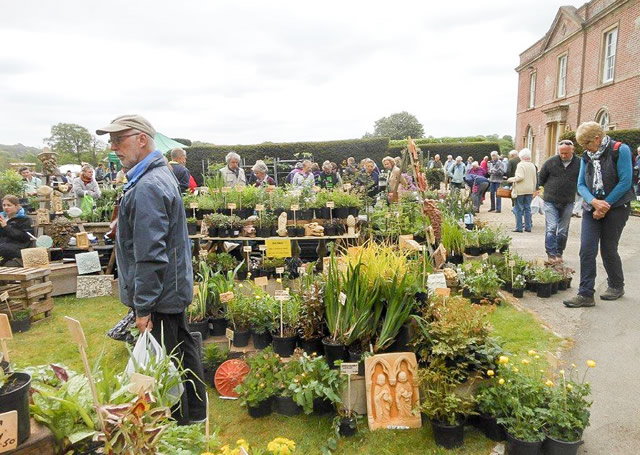 The Specialist Plant Fair at Yarlington House park