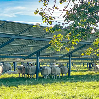 One Planet Wincanton visit to Brains Farm