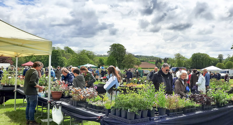 Yarlington Plant Fair