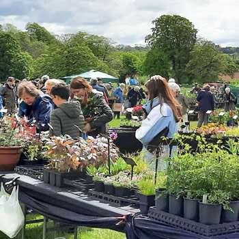 Yarlington Plant Fair - 7th May 2022