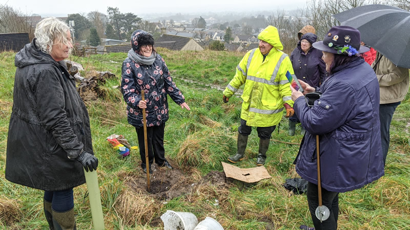 The Rev. Alison Way from Wincanton Parish Church of St Peter & St Paul planting an oak sapling at Wrixon's View