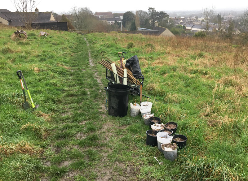 The planting kit and saplings