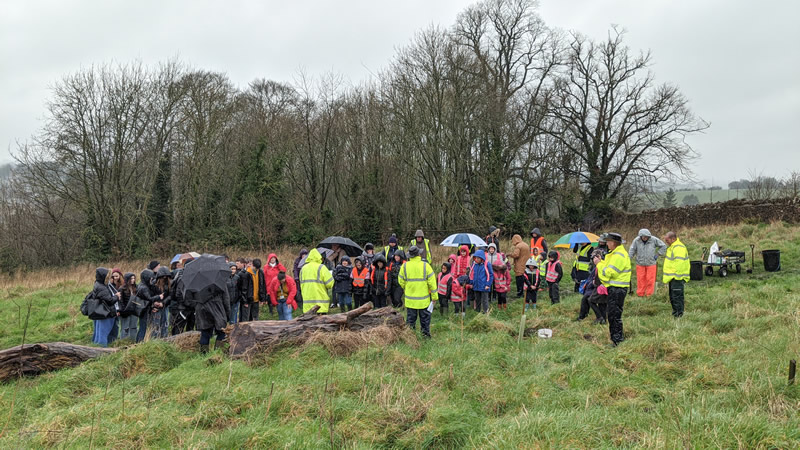 More than 50 people turned up to plant trees at Wrixons View in conjunction with the Queens Green Canopy initiative