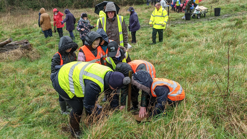 Wincanton Primary School children planting an oak sapling