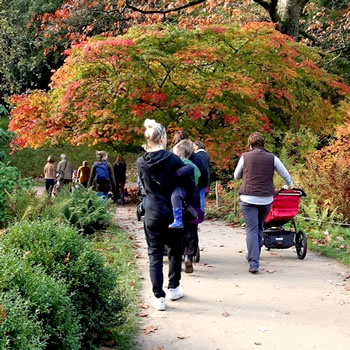 The Balsam Centre is resuming Stourhead buggy and sling walks